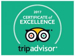 Tripadvisor certificate of excellence in green