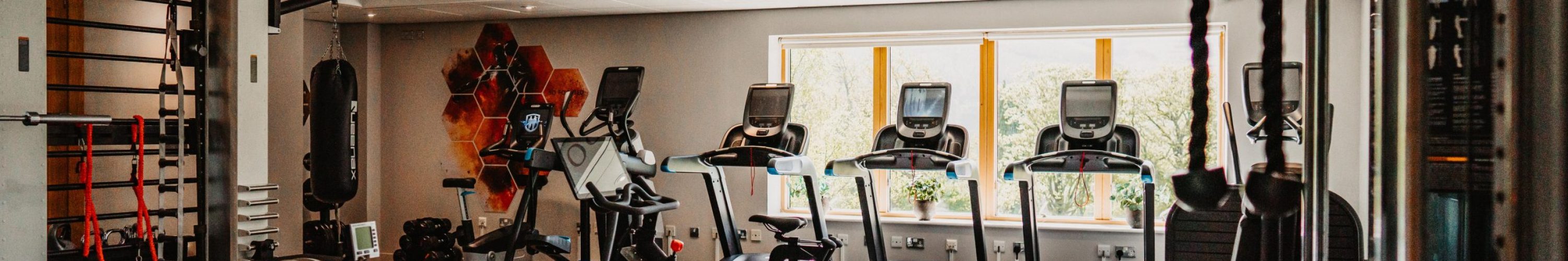 The Stobo Gym